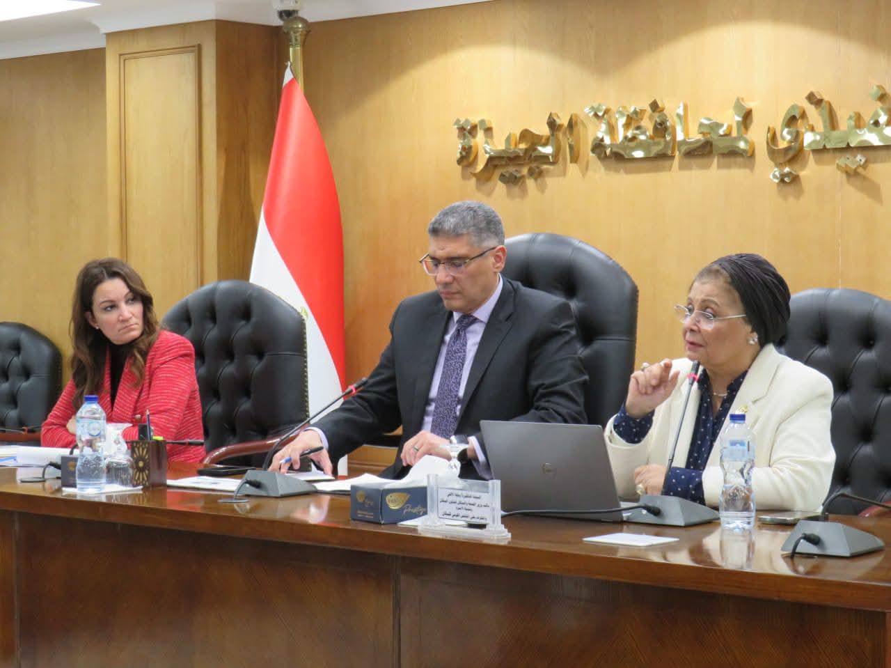 محافظ الجيزة يترأس اجتماع المجلس الإقليمي للسكان لمتابعة حصاد عام 2025