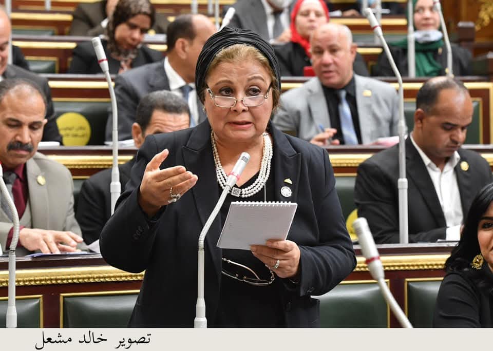 مناقشة الموازنة وأعمال المجلس القومي للسكان
